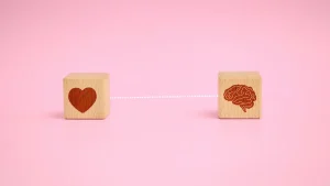 High end companionship illustrated by a heart and brain symbolising chemistry and emotional connection